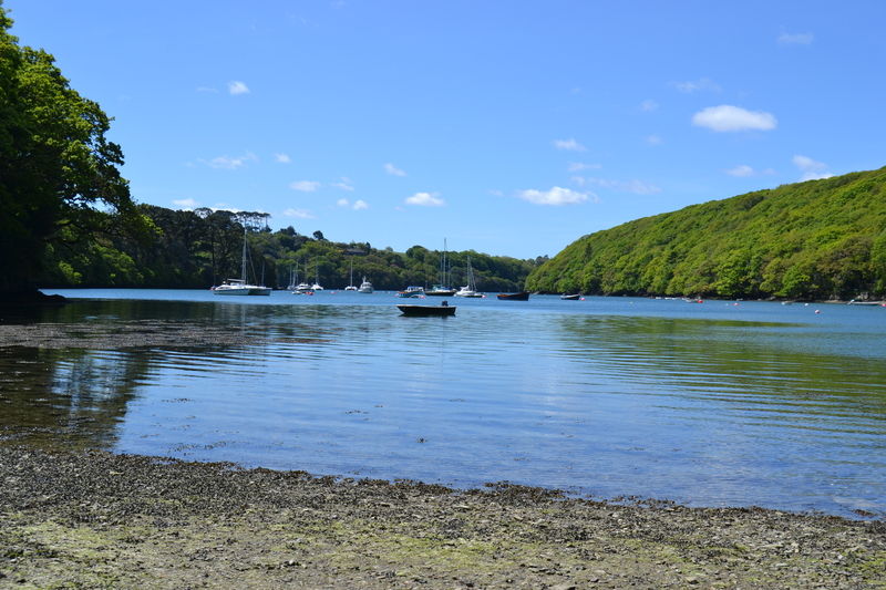Budock Vean 4* Falmouth